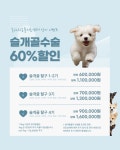 본외과동물의료센터