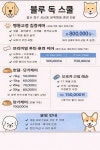 블루 독 스쿨