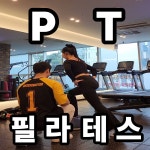 엘피PT&필라테스