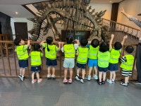 키즈랜드어린이집