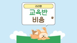 리리펫호텔 & 유치원