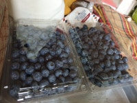 블랙커런트 블루베리 대연농장