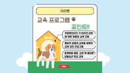 리리펫호텔 & 유치원