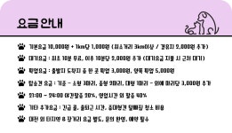 해피멍뭉 펫택시