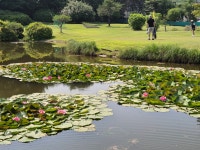 아하농원이글파3