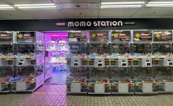 모모스테이션 엘라스틴 강남역점