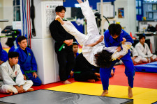 용인대 일산유도 체육관 풍동점