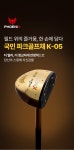 피닉스파크골프공주 | 피닉스파크골프 대덕대리점