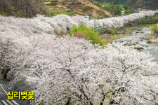 모암차차 스테이