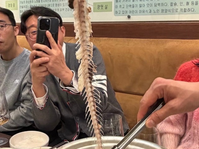 진 주문진생태찌개