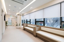 잠실바른눈안과동물병원