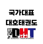 국가대표 대호태권도