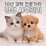 하이퍼피 강아지분양 고양이분양 군산본점