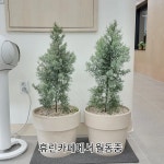휴린
