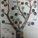 지음수학과학전문학원