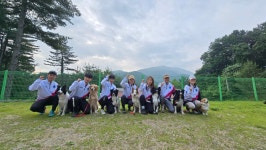 조이런독스포츠클럽