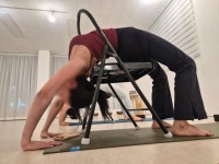 아임요기니