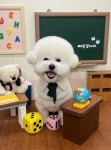 드라시앙