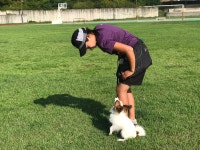 조이런독스포츠클럽