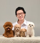 강아지분양 애견입양 정순정가정견사 말티푸 비숑 미니비숑