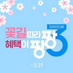 미하이의원 광주