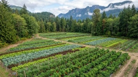 화성공인중개사사무소