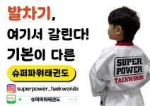 슈퍼파워태권도