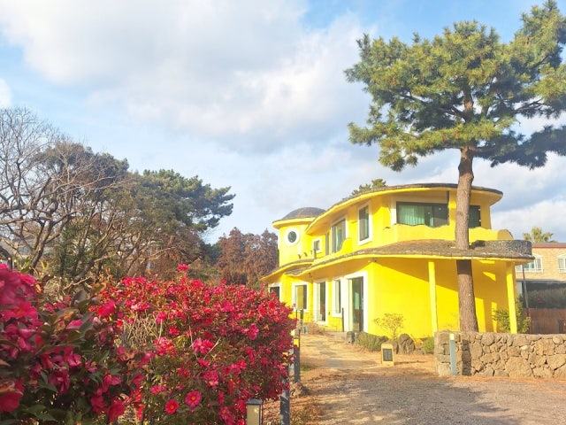 카페소낭
