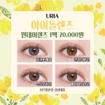 더으뜸안경 경성대점