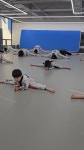 명품 타이거즈 합기도