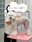 말랑말랭