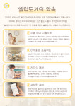 셀럽도기