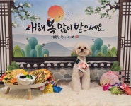 뽀도독애견미용