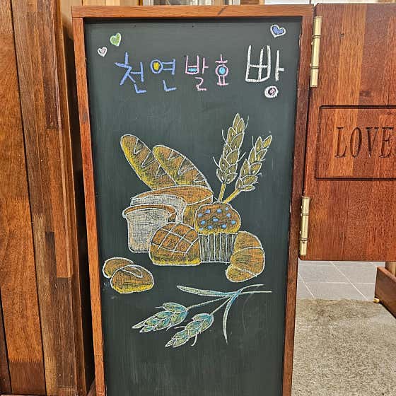 별그리는 자작나무 사진