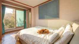 참맑은아침단체애견스파독채커플펜션