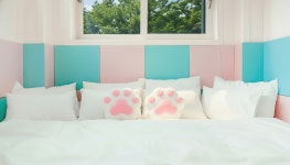 포천 럭스제이 애견펜션