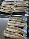 힘센수산 풍천장어 직판장