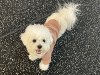 멍데이유치원