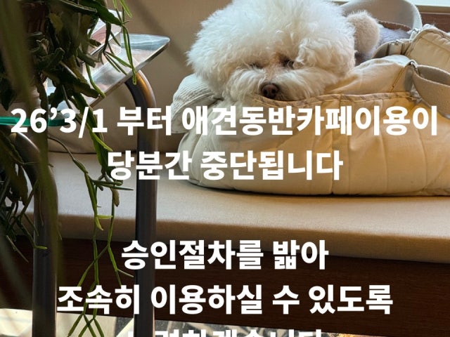 풀문