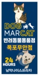 도그마캣 목포무안점