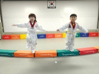 태권도 진부 정무체육관