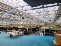 다육식물농장소담