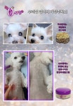 큐사랑 상주모서점