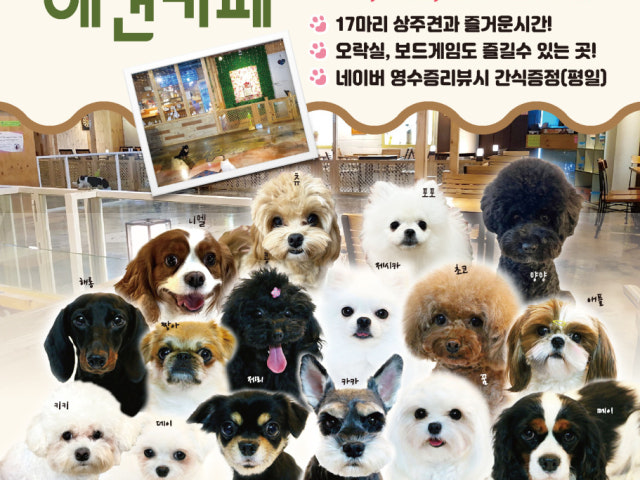 헤이독 대전점