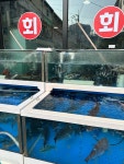 풍성한횟집