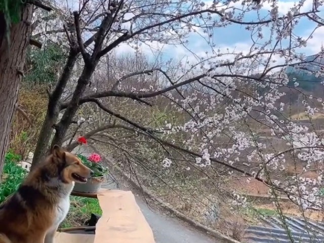 마을카페 안녕