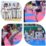 SYB경희대태권도장