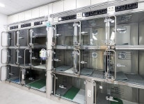 가디언 비뇨기&최소침습수술 동물병원