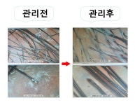 닥터살롱 The어려지는 동안샵