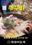 하와이조개 당산점